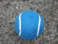 FB体育在线-美国网球队完胜意大利网球队，穆雷高光表现