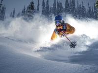 FB体育注册网址-德甲争冠战之夜，伊萨克关键节点连续得分，改写争冠格局