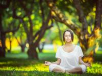 FB体育娱乐-奥斯梅恩点燃赛场，荷兰稳稳拿下乌克兰，一场战术与激情的完美交响