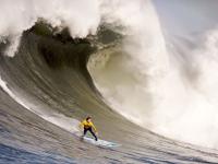 FB体育-黄鸭组合领衔逆袭，德国队绝境翻盘丹麦队