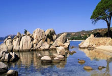 FB赛事直播-哈利伯顿进攻端无人可挡，步行者收割活塞