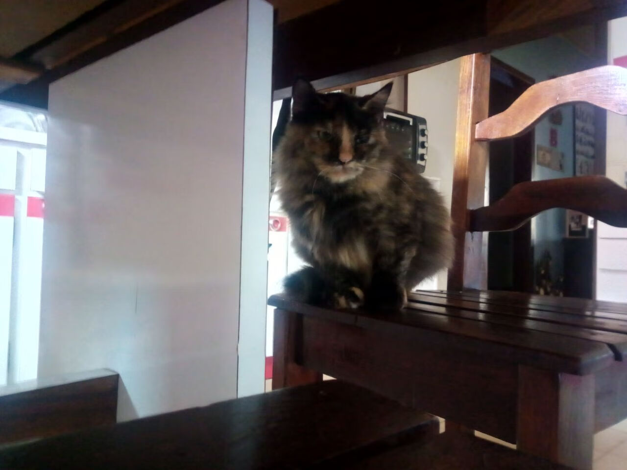 绿茵场上的防守方程式，中国队的铁血锁链与阿什拉夫的赛道统治力