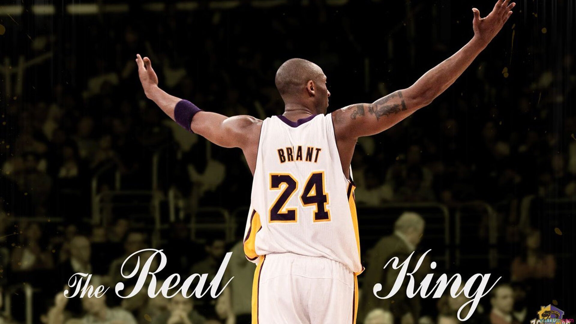 新赛季F1揭幕战焦点战，秘鲁轻取苏格兰